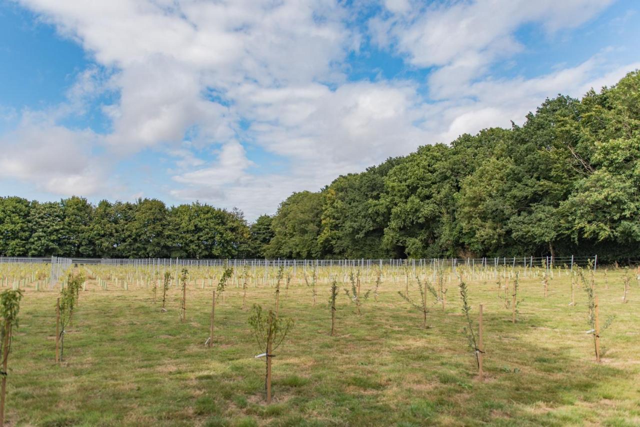 Bacchus By Bloom Stays Canterbury Eksteriør bilde