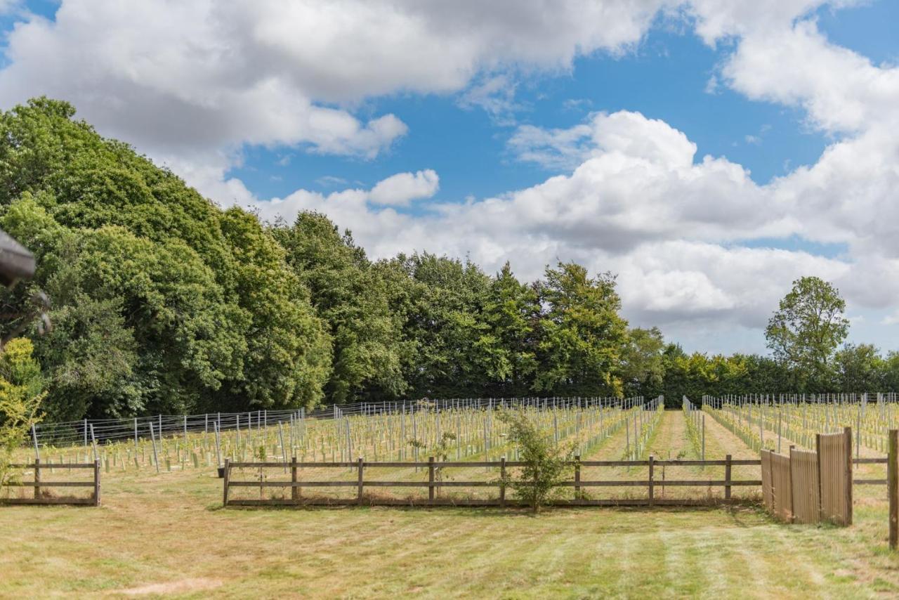 Bacchus By Bloom Stays Canterbury Eksteriør bilde